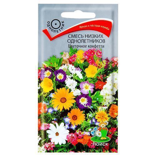 ������ ������ ��������� ����� ��������� �������� �����   ����