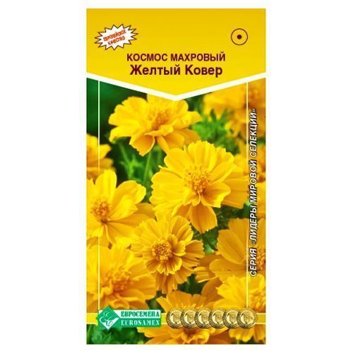 ������ ������ ������ �������� ������ ����� ����������   ����