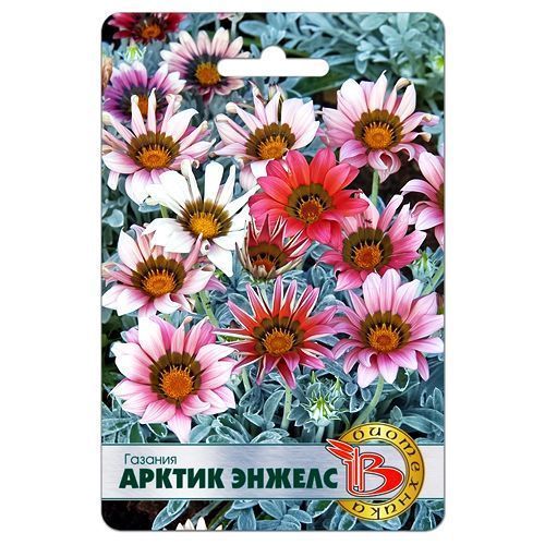 ������ ������ ������� ������ ������, ����� ������� ����������   ����