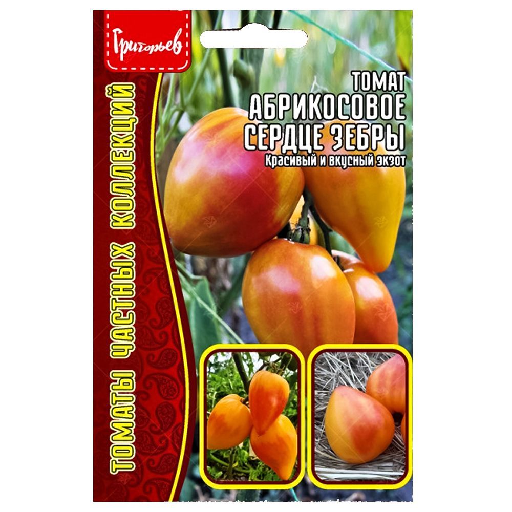 ������ ������ ����� ����������� ������ ����� ������ ������   ����