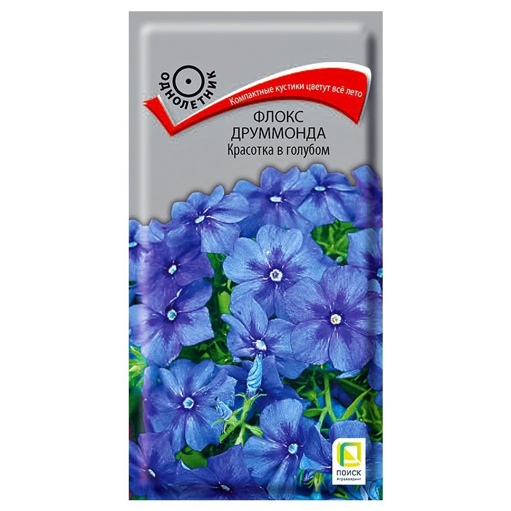 ������ ������ ����� ��������� �������� � ������� �����   ����