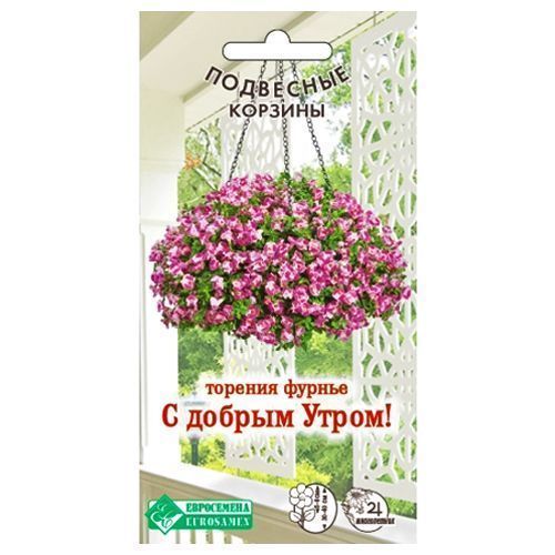 ������ ������ ������� ������ � ������ �����! ����������   ����