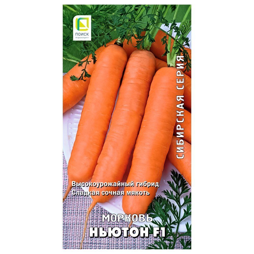 ������ ������ ������� ������ F1 �����   ����