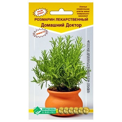 ������ ������ �������� �������� ������ ����������   ����