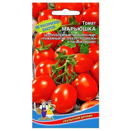 ������ ������ ����� �������� ��������� ������   ����