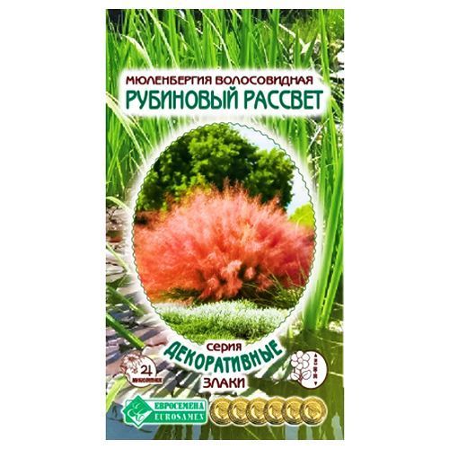 ������ ������ ����������� ������������ ��������� ������� ����������   ����