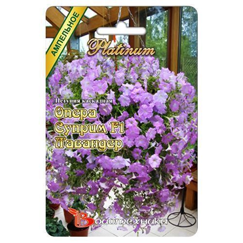 ������ ������ ������� ��������� ����� ������ F1 �������� ����������   ����