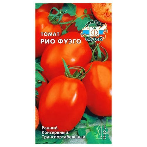 ������ ������ ����� ��� ����� �����   ����