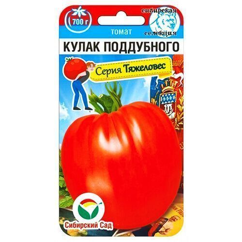 ������ ������ ����� ����� ���������� ��������� ���   ����