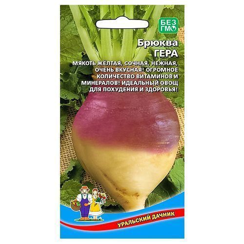 ������ ������ ������ ���� ��������� ������   ����