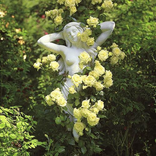 ������ ������ ���� ��������� ����   ����