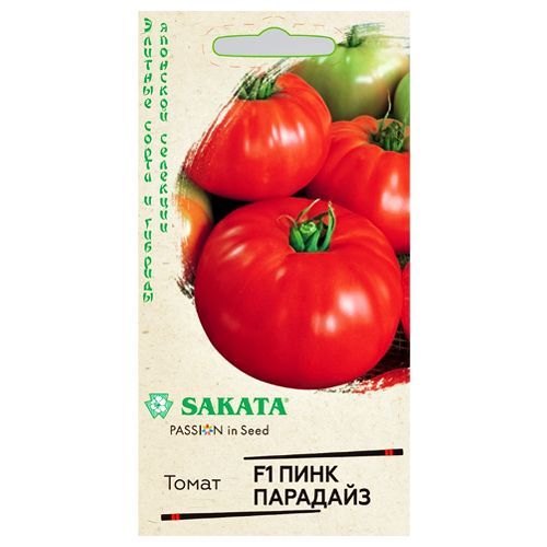 ������ ������ ����� ���� �������� F1 ������   ����