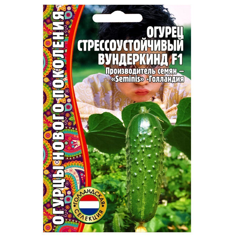 ������ ������ ������ ����������������� ���������� F1 ������ ������   ����