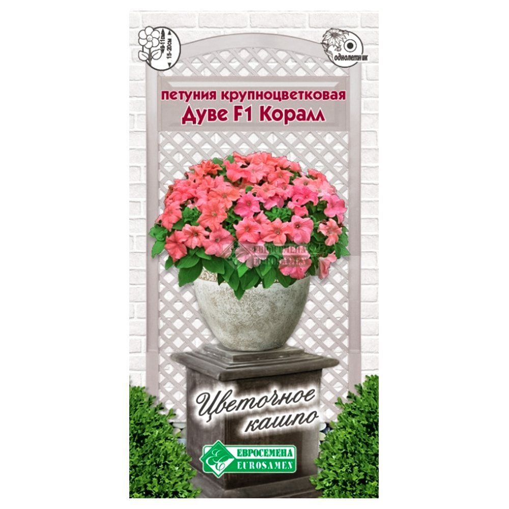 ������ ������ ������� ��������������� ���� ������ F1 ����������   ����