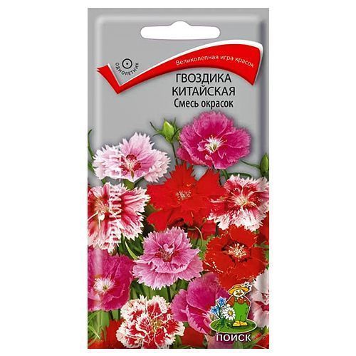 ������ ������ �������� ���������, ����� ������� �����   ����