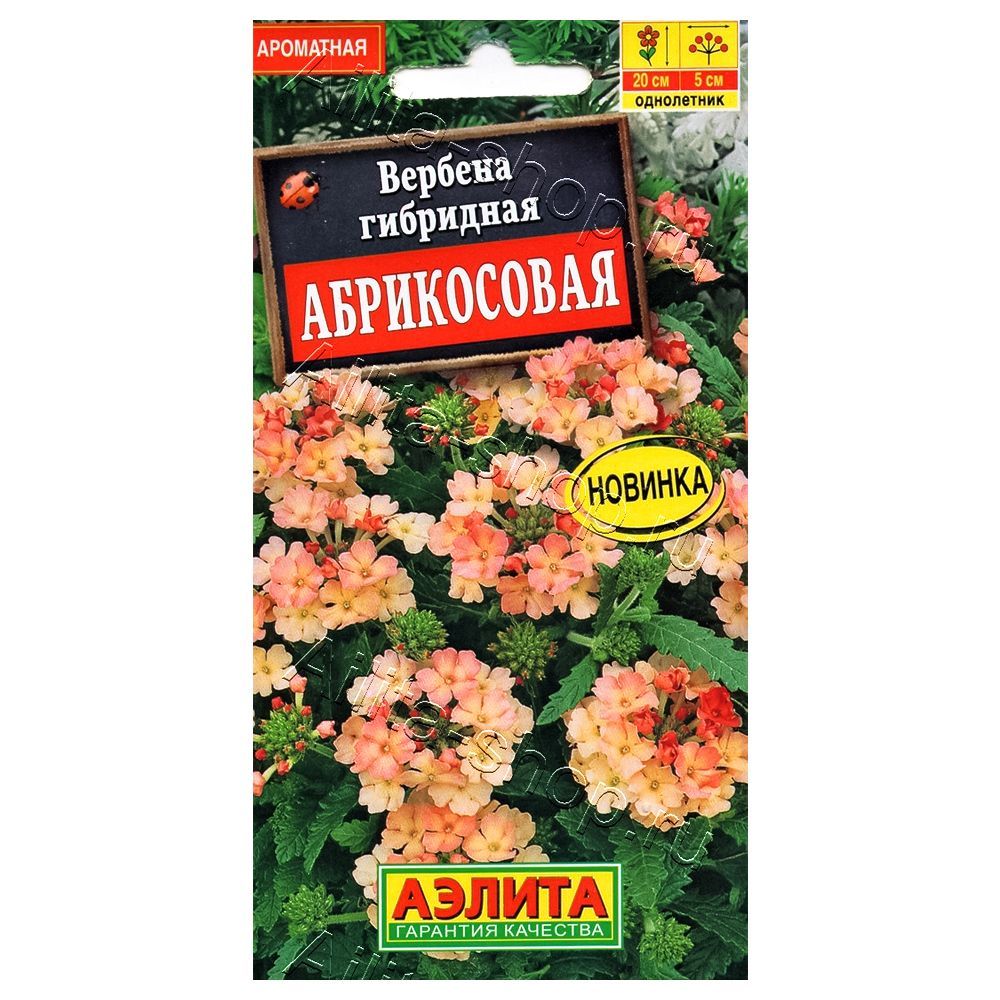 ������ ������ ������� ����������� ������   ����