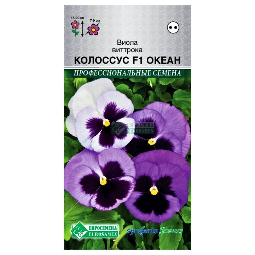 ������ ������ ����� �������� �������� ����� F1, ����� ������� ����������   ����