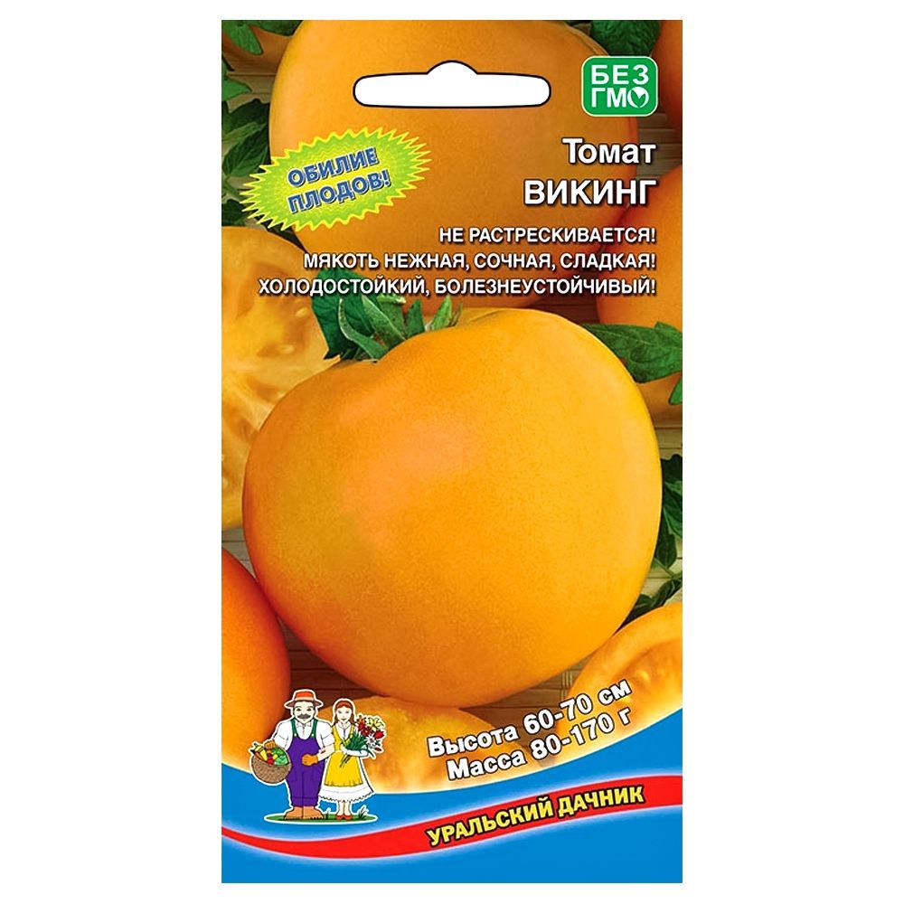 ������ ������ ����� ������ ��������� ������   ����