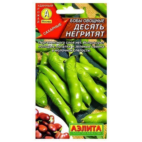 ������ ������ ���� ������ �������� ������   ����