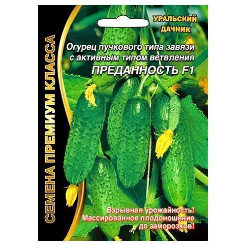 ������ ������ ������ �������������� ���� ����������� F1 ��������� ������   ����