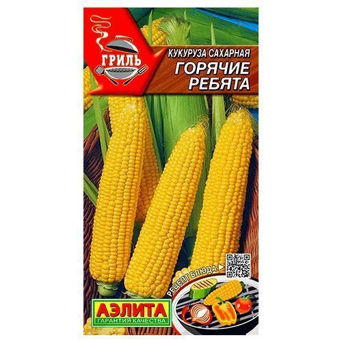 ������ ������ �������� ������� ������ ������   ����