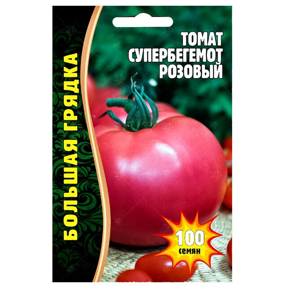 ������ ������ ����� ������������ ������� ������ ������   ����