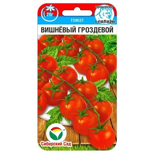 ������ ������ ����� ����� �������� ��������� ��������� ���   ����