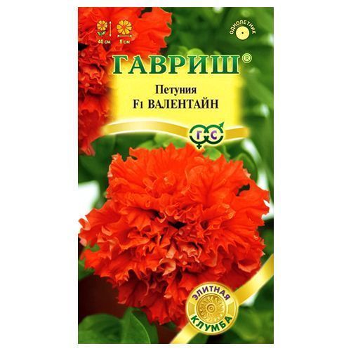 ������ ������ ������� ��������������� �������� ��������� F1 ������   ����