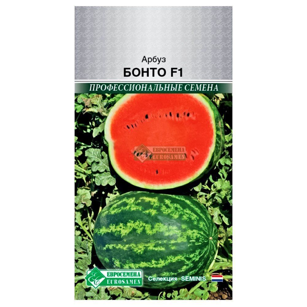 ������ ������ ����� ����� F1 ����������   ����