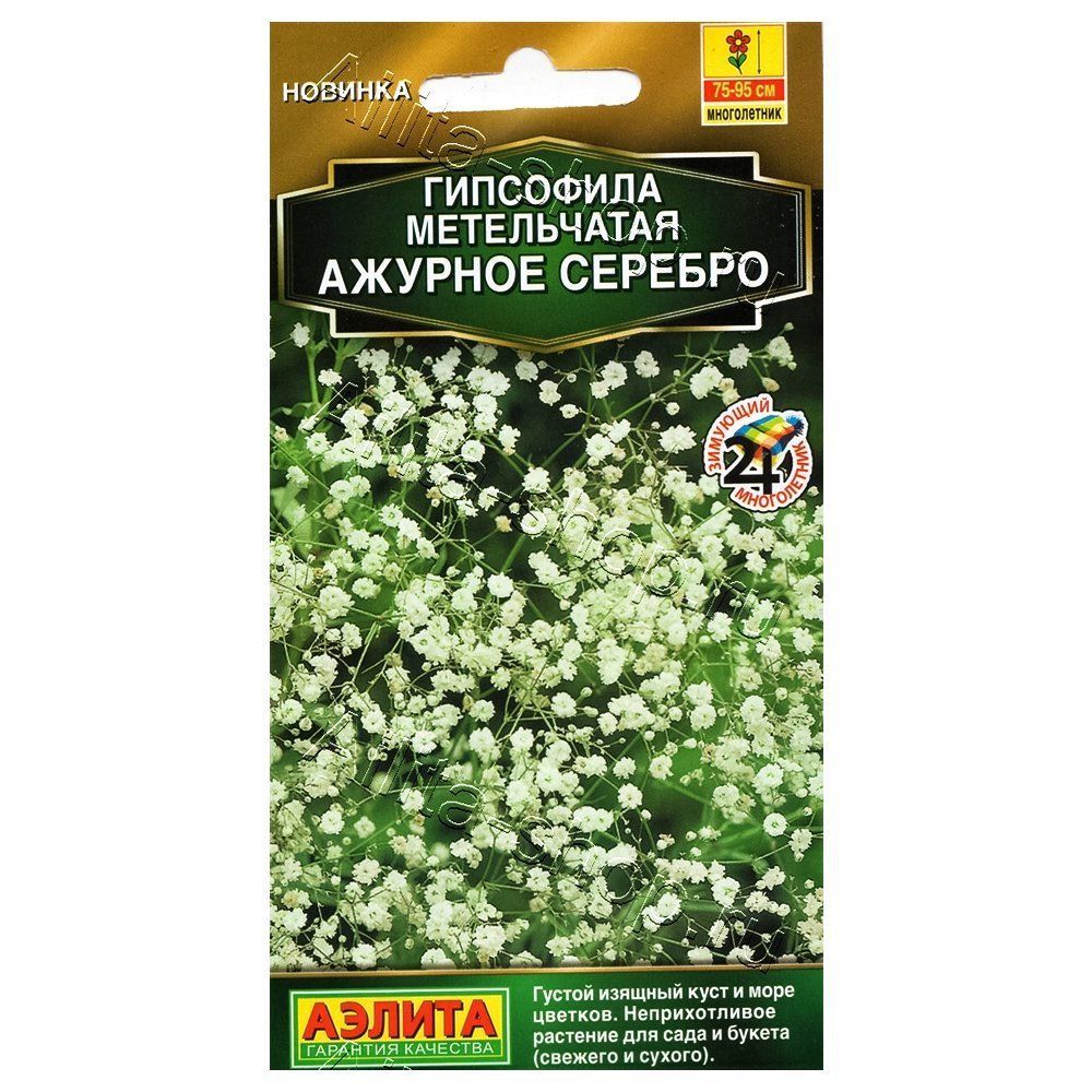 ������ ������ ��������� ������� ������� ������   ����