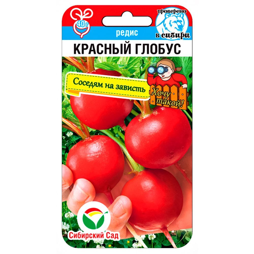 ������ ������ ����� ������� ������ ��������� ���   ����