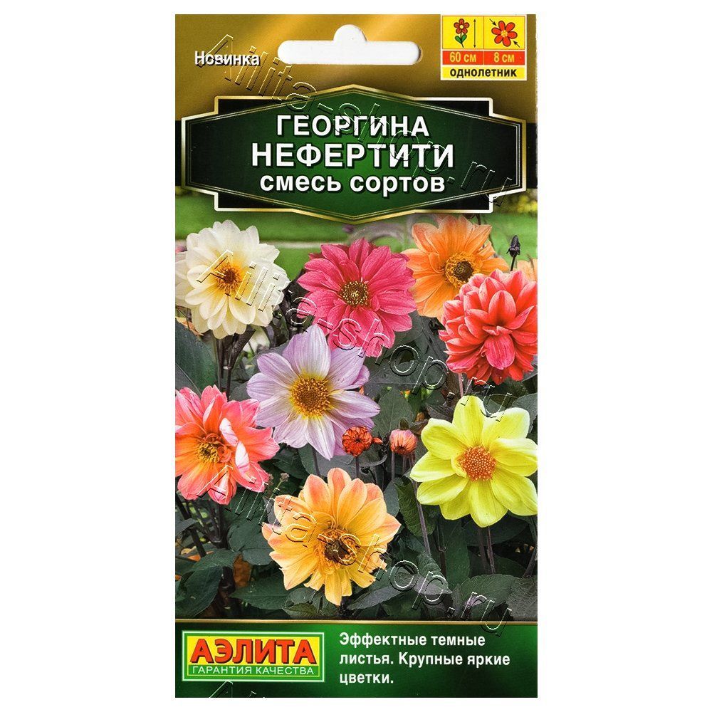 ������ ������ �������� ���������, ����� ������� ������   ����