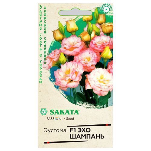 ������ ������ ������� ��� ������� F1 ������   ����