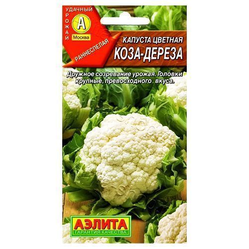 ������ ������ ������� ������� ����-������ ������   ����