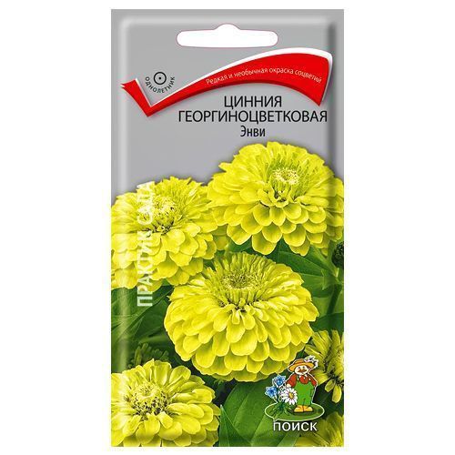 ������ ������ ������ ����������������� ���� �����   ����