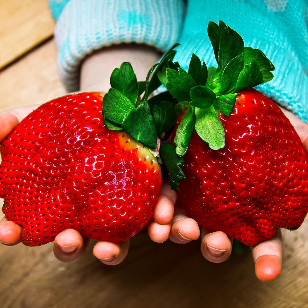 ������ ������ ��������� ������������ (�������������) ������� �����   ����