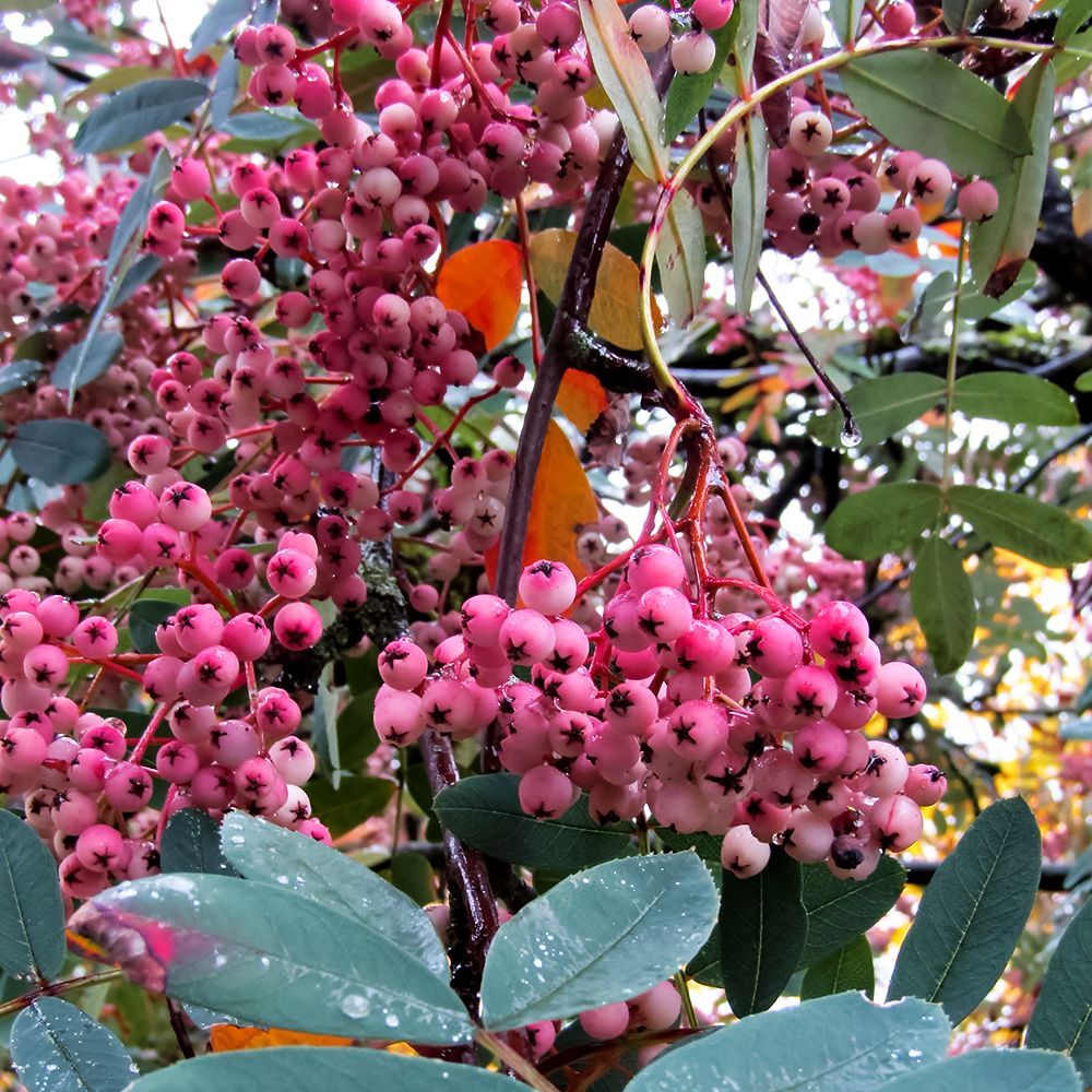 ������ ������ ������ ������������� �� ������ �������� ����   ����