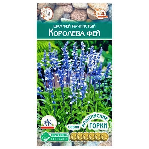 ������ ������ ������ ��������� �������� ��� ����������   ����