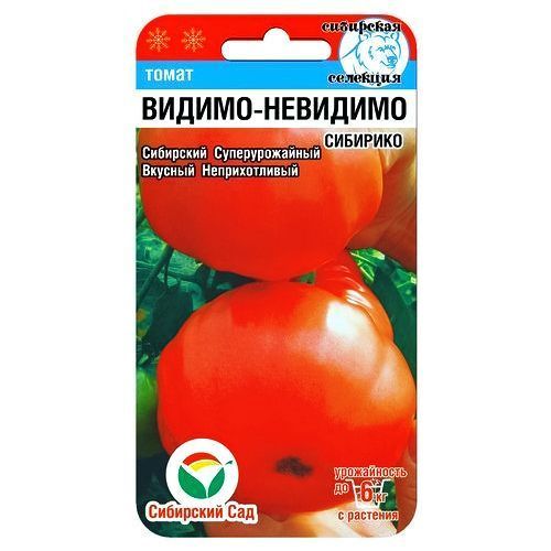 ������ ������ ����� ������-�������� ��������� ���   ����