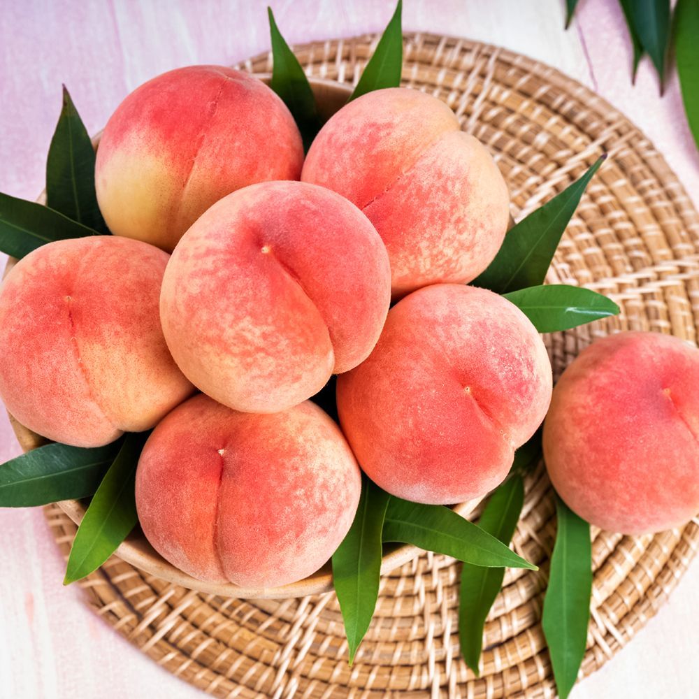 ������ ������ ������ ��� ������� ������� �������   ����