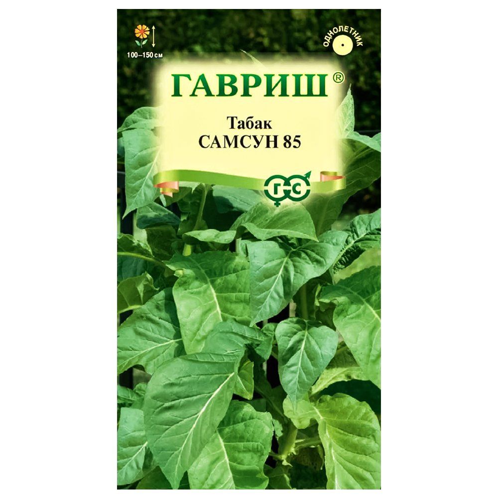 ������ ������ ����� ����������� ������ 85 ������   ����