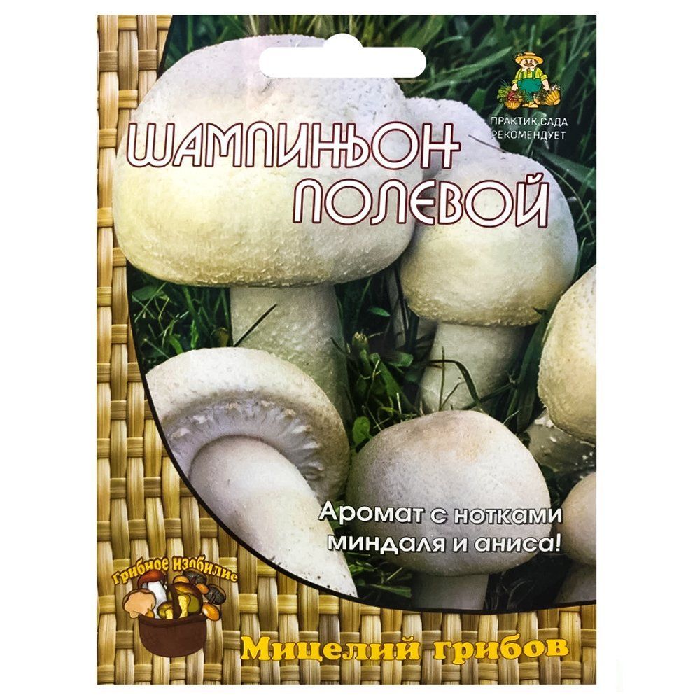 ������ ������ ��������� ������� �����   ����