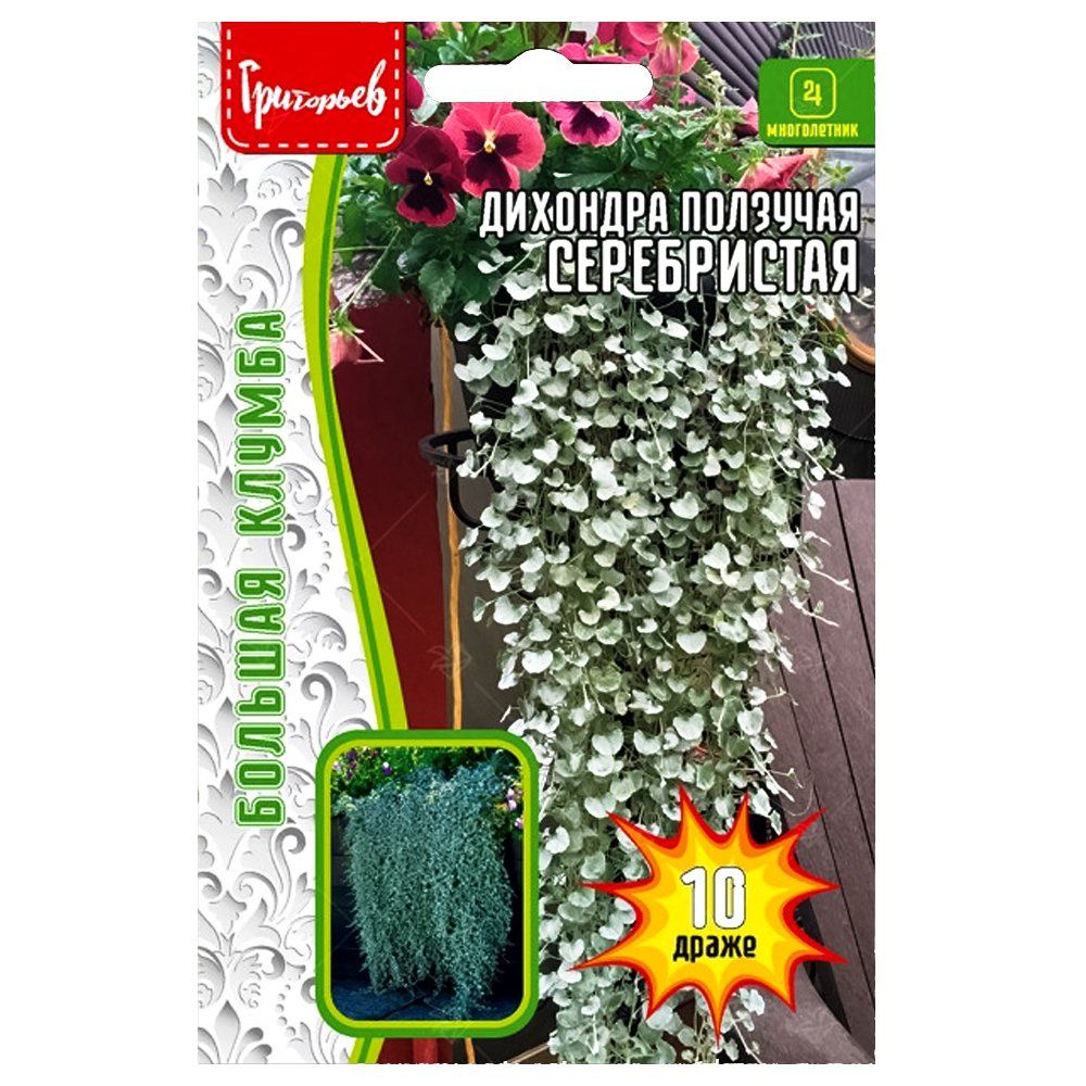 ������ ������ �������� �������� ����������� ������ ������   ����