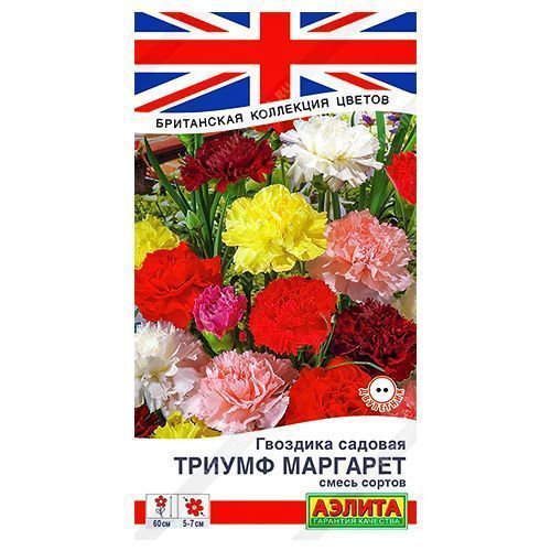 ������ ������ �������� ������� ������ ��������, ����� ������� ������   ����