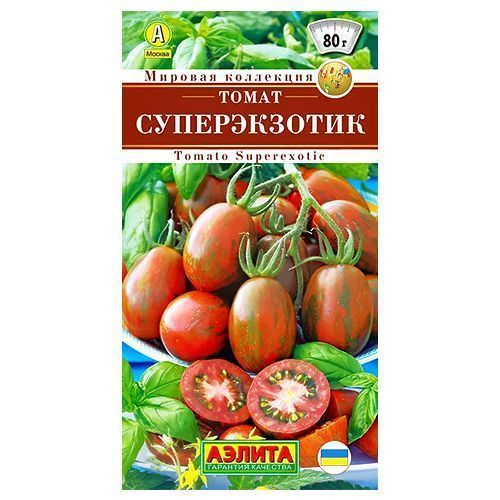 ������ ������ ����� ������������ ������   ����