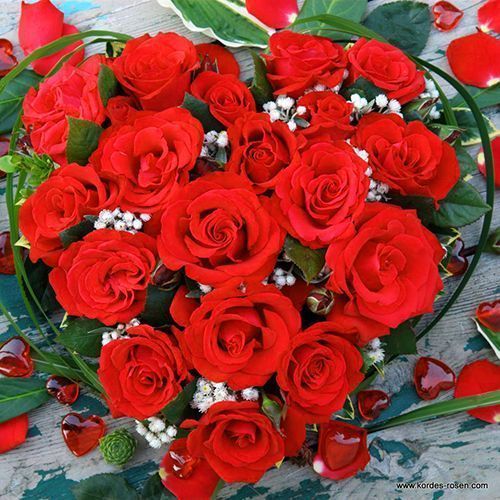 ������ ������ ���� �����-��������� ����� ����� �����   ����