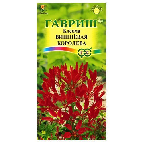 ������ ������ ������ �������� �������� ������   ����