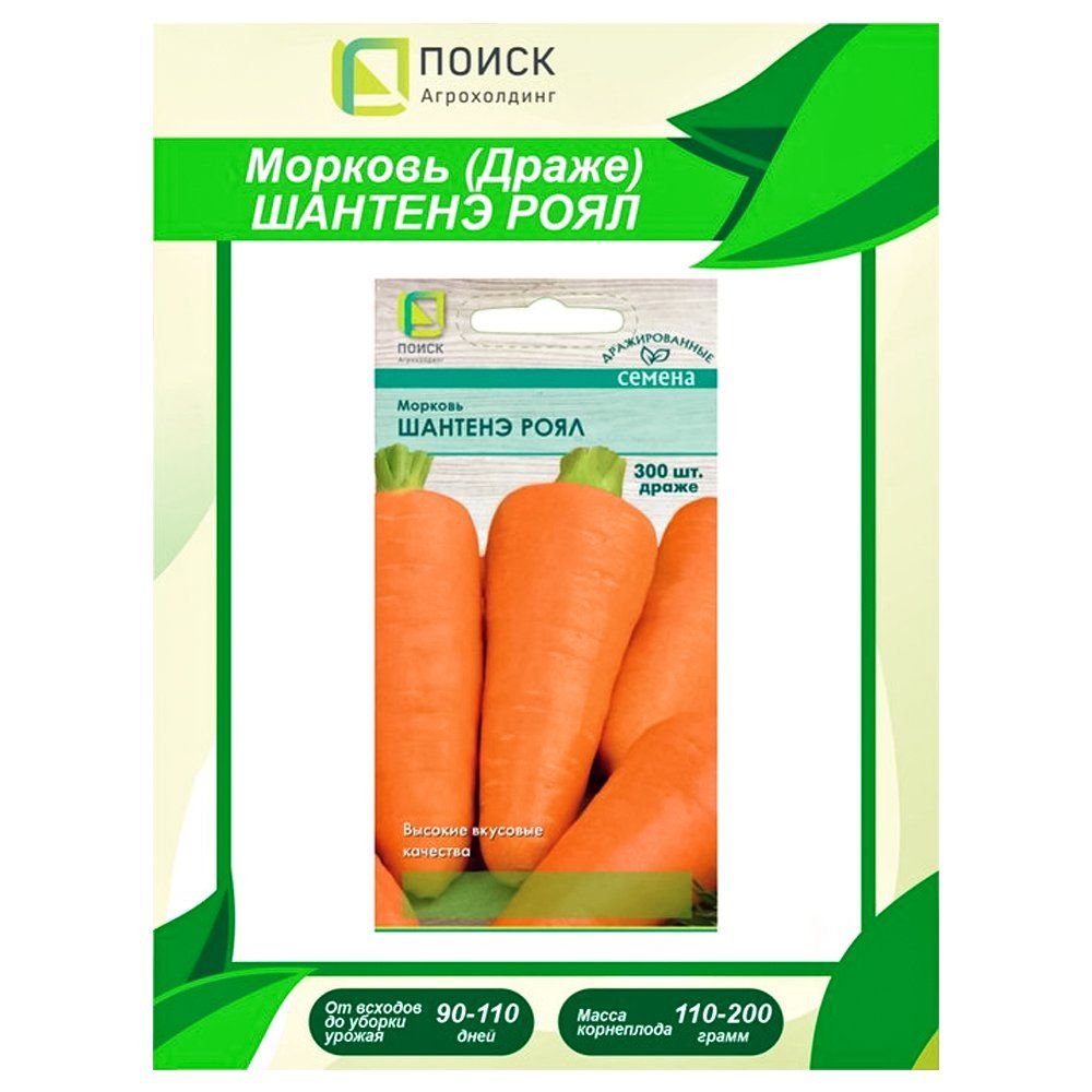 ������ ������ ������� ������� ����, ������� �����   ����