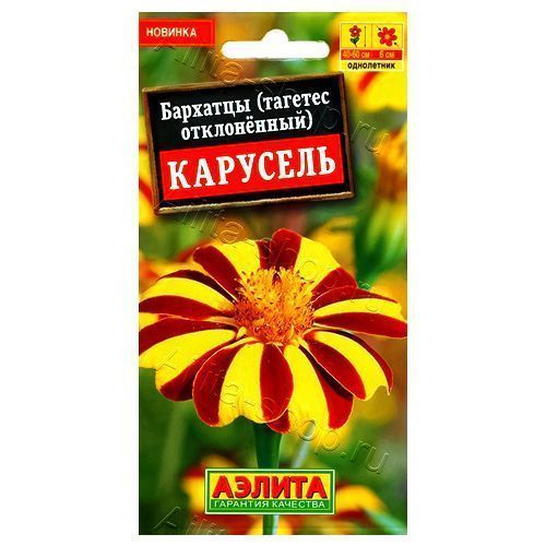 ������ ������ �������� ����������� �������� ������   ����