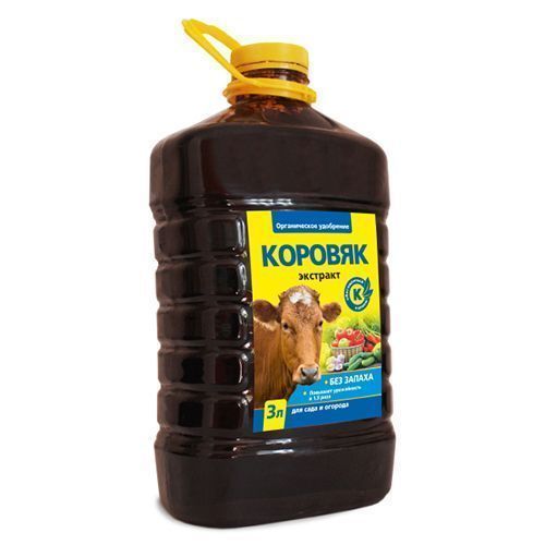 ������ ������ ��������� �������, ������������ ��������� 3 �   ����